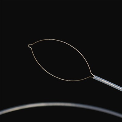 Jaw-type boetelandse lichaamsmacht